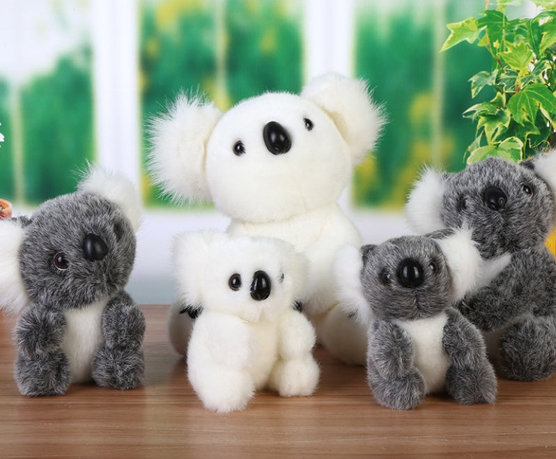 Super Cute Small Koala Bear Plush Toys