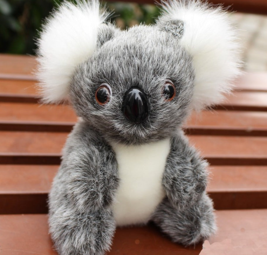Super Cute Small Koala Bear Plush Toys